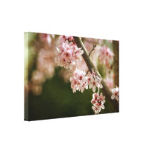 Cherry Blossom Flowers Canvas Print