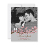 Cherry Blossom Garden Save the Date Photo Personalized Invites