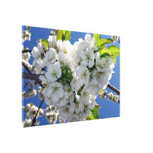 Cherry blossom heart stretched canvas prints