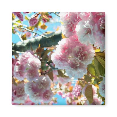 Cherry Blossom Impression Magnet by LorrieM