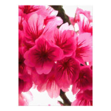 Cherry Blossom Invite