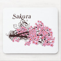 Cherry Blossom
