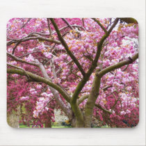 Cherry Blossom mousepads