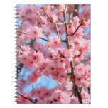 Cherry Blossom Notebook