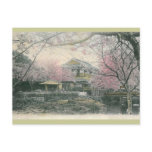 Cherry Blossom of Nakashima, Nagasaki Japan Post Cards