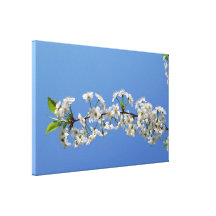 Cherry blossom on blue Wrapped Canvas Canvas Print