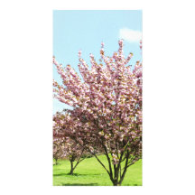 Cherry Blossom Photo Greeting Card