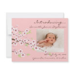 Cherry Blossom Pink & Brown Baby Girl Photo Birth