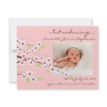 Cherry Blossom Pink & Brown Baby Girl Photo Birth
