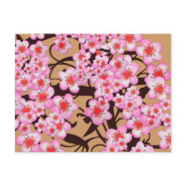 Cherry Blossom