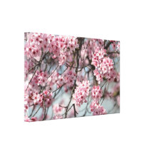 Cherry Blossom Tree Stretched Canvas Print