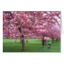 Cherry blossom trees greeting cards