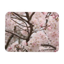 Cherry Blossom Vinyl Magnets