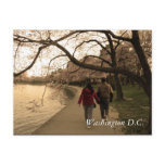Cherry Blossom Walk Post Card