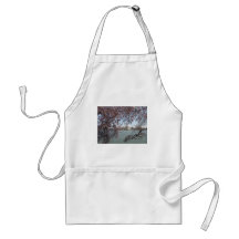 Cherry Blossom Washington DC Aprons