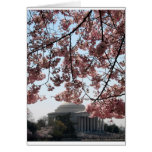 Cherry Blossom Washington DC Greeting Card