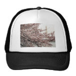 Cherry Blossom Washington DC Hat