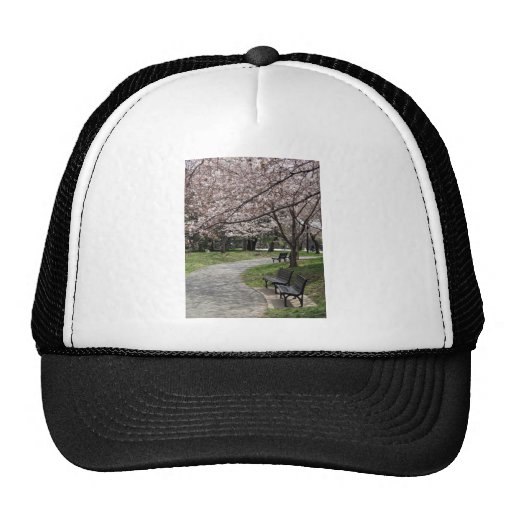 Cherry Blossom Washington DC Hats