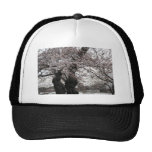 cherry blossom Washington dc Mesh Hat