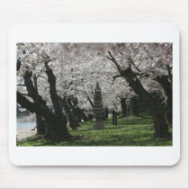 Cherry Blossom Washington DC Mouse Mat