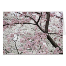 Cherry Blossoms 10 Birthday Card