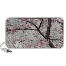 Cherry Blossoms 10 Speaker