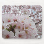 Cherry Blossoms 13 Mouse Pad