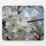 Cherry Blossoms 2 Mouse Pad