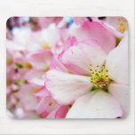 Cherry Blossoms 7 Mouse Pad