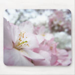 Cherry Blossoms 9 Mouse Pad
