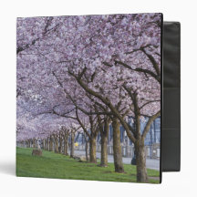 Cherry blossoms along Willamette river, USA 3 Ring Binder