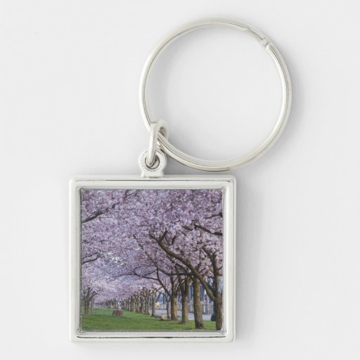 Cherry blossoms along Willamette river, USA Key Chains