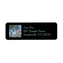Cherry Blossoms and the Washington Monument Return Custom Return Address Labels