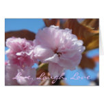 Cherry Blossoms Card