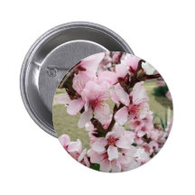 Cherry Blossoms Clusters The Spring Pinback Button