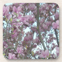 Cherry Blossoms Drink Coaster