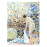 Cherry Blossoms - Frederick Carl Frieseke Postcards