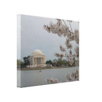 Cherry Blossoms in DC Canvas canvas prints