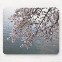 cherry blossoms over tidal basin mouse pads