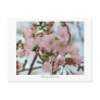 Cherry Blossoms Post Card