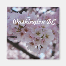Cherry Blossoms Refrigerator Magnet