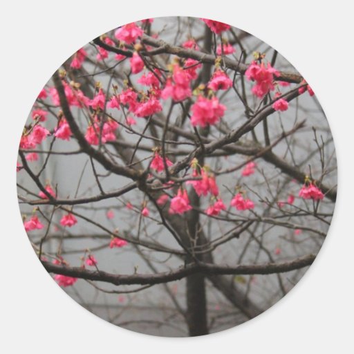 Cherry Blossoms Round Sticker