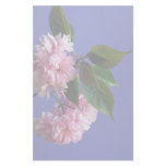 Cherry blossoms customized stationery