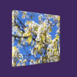 Cherry Blossoms Stretched Canvas Print canvas prints