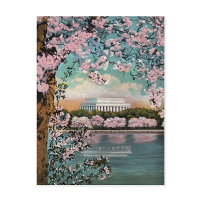 Cherry Blossoms Vintage Postcard by vintageamerican