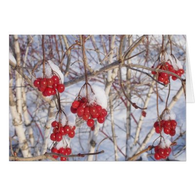 Cherry Snow Cones Greeting Card by nmpics