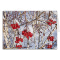 Cherry Snow Cones cards