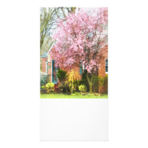 Cherry Tree By Brick House Photo Cards