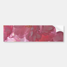 Cherry Trees Beautiful Pink Blossom Stickers Bumper Sticker