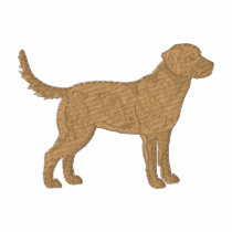Chesapeake Bay Retriever